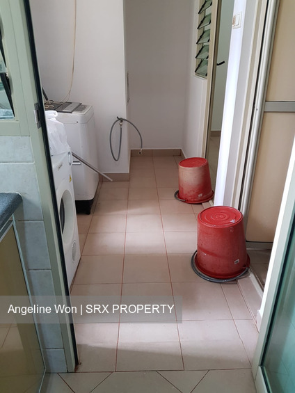 Trellis Towers (D12), Condominium #253583161